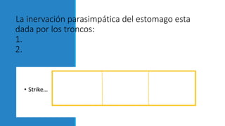 La inervación parasimpática del estomago esta
dada por los troncos:
1.
2.
 