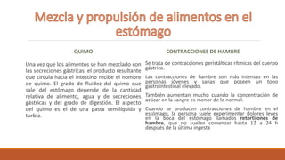 QUIMO
Una vez que los alimentos se han mezclado con
las secreciones gástricas, el producto resultante
que circula hacia el intestino recibe el nombre
de quimo. El grado de fluidez del quimo que
sale del estómago depende de la cantidad
relativa de alimento, agua y de secreciones
gástricas y del grado de digestión. El aspecto
del quimo es el de una pasta semilíquida y
turbia.
CONTRACCIONES DE HAMBRE
Se trata de contracciones peristálticas rítmicas del cuerpo
gástrico.
Las contracciones de hambre son más intensas en las
personas jóvenes y sanas que poseen un tono
gastrointestinal elevado.
También aumentan mucho cuando la concentración de
azúcar en la sangre es menor de lo normal.
Cuando se producen contracciones de hambre en el
estómago, la persona suele experimentar dolores leves
en la boca del estómago llamados retortijones de
hambre, que no suelen comenzar hasta 12 a 24 h
después de la última ingesta
 