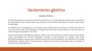 BOMBA PILÓRICA
El 20% del tiempo de permanencia de los alimentos en el estómago las contracciones aumentan
de intensidad; estas contracciones son potentes contracciones peristálticas anulares que vacían
el estómago.
A medida que el estómago se va vaciando, estas contracciones se inician en porciones cada vez
más altas del cuerpo del estómago y empujan los alimentos almacenados en este para que se
sumen al quimo presente en el antro.
Estas contracciones peristálticas intensas suelen crear una presión seis veces mayor que la de las
ondas peristálticas de mezcla habituales. Cuando el tono pilórico es normal, cada onda
peristáltica potente empuja varios mililitros de quimo hacia el duodeno. De esta forma, las ondas
peristálticas, además de la mezcla gástrica, ejercen una acción de bombeo que ha recibido el
nombre de «bomba pilórica».
 