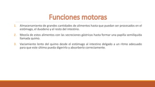 1. Almacenamiento de grandes cantidades de alimentos hasta que puedan ser procesados en el
estómago, el duodeno y el resto del intestino.
2. Mezcla de estos alimentos con las secreciones gástricas hasta formar una papilla semilíquida
llamada quimo.
3. Vaciamiento lento del quimo desde el estómago al intestino delgado a un ritmo adecuado
para que este último pueda digerirlo y absorberlo correctamente.
 