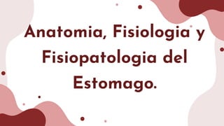 Anatomia, Fisiologia y
Fisiopatologia del
Estomago.
 