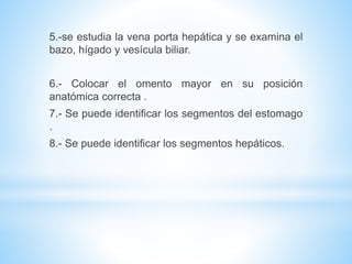 5.-se estudia la vena porta hepática y se examina el
bazo, hígado y vesícula biliar.
6.- Colocar el omento mayor en su posición
anatómica correcta .
7.- Se puede identificar los segmentos del estomago
.
8.- Se puede identificar los segmentos hepáticos.
 