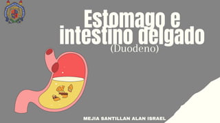 Estomago e
intestino delgado
(Duodeno)
MEJIA SANTILLAN ALAN ISRAEL
 