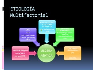 ETIOLOGÍA
Multifactorial
ÚLCERA
PÉPTICA
Helicobacter pylori
(70-90% UG,
90-100% UD)
AINES
ASA
(FACTOR CAUSAL
DE UG, gastrisits y
UD)
ACIDEZ GÁSTRICA
Y FACTORES
GENÉTICOS
( en pacientes con
UD)
FACTORES
HORMONALES
(Sx de Zollinger-Ellison y
NEM-1 e
Hiperparatiroidismo)
(UD)
FACTORES
PSICOLÓGICOS
(UD)
CIGARRO
 