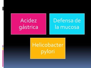 Acidez
gástrica
Defensa de
la mucosa
Helicobacter
pylori
 