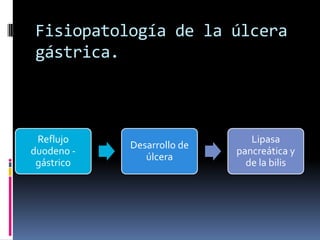 Reflujo
duodeno -
gástrico
Desarrollo de
úlcera
Lipasa
pancreática y
de la bilis
Fisiopatología de la úlcera
gástrica.
 