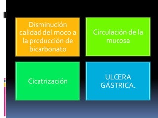 Disminución
calidad del moco a
la producción de
bicarbonato
Circulación de la
mucosa
Cicatrización
ULCERA
GÁSTRICA.
 