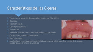 Características de las úlceras
 Pródromo de sensación de quemadura o dolor de 24 a 48 hrs
 Dolorosas
 Aparición aguda
 Claramente definidas
 Superficiales
 Redondas y ovales con un centro necrótico poco profundo
 Cubiertas por una seudomembrana
 Halo eritematoso
 Localizadas en mucosa yugal, suelo de la boca, mucosa labial, superficie ventral de la lengua,
paladar blando o fondos de vestíbulo
 