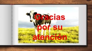 Gracias
por su
atención
 