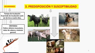 5
3. PREDISPOSICIÓN Y SUSCEPTIBILIDADRECORDEMOS
Tiempo de Incubación
El período de incubación suele
ser de tres a cuatro días,
SÍNTOMAS
Fiebre, dolores musculares,
dolor de cabeza y malestar
general.
 