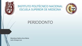 INSTITUTO POLITÉCNICO NACIONAL
ESCUELA SUPERIOR DE MEDICINA
PERIODONTO
Mendoza Galicia Ana María
León Amaya Luis
 