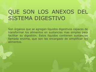 QUE SON LOS ANEXOS DEL
SISTEMA DIGESTIVO
Son órganos que se agregan líquidos digestivos capaces de
transformar los alimentos en sustancias mas simples para
facilitar su digestión. Estos líquidos contienen sustancias
llamada enzima, que son las encargado de simplificar los
alimentos.
 