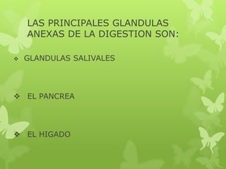  GLANDULAS SALIVALES
 EL PANCREA
 EL HIGADO
LAS PRINCIPALES GLANDULAS
ANEXAS DE LA DIGESTION SON:
 
