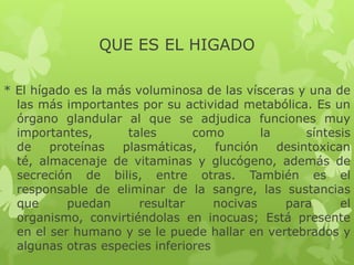 * El hígado es la más voluminosa de las vísceras y una de
las más importantes por su actividad metabólica. Es un
órgano glandular al que se adjudica funciones muy
importantes, tales como la síntesis
de proteínas plasmáticas, función desintoxican
té, almacenaje de vitaminas y glucógeno, además de
secreción de bilis, entre otras. También es el
responsable de eliminar de la sangre, las sustancias
que puedan resultar nocivas para el
organismo, convirtiéndolas en inocuas; Está presente
en el ser humano y se le puede hallar en vertebrados y
algunas otras especies inferiores
QUE ES EL HIGADO
 