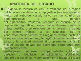  El hígado se localiza en casi la totalidad de la región
del hipocondrio derecho, el epigastrio (no sobrepasa el
límite del reborde costal, salvo en un cuadro de
hepatomegalia) y una porción
del hipocondrio izquierdo, llenando el espacio de la
cúpula diafragmática, donde puede alcanzar hasta la
quinta costilla, y se relaciona con el corazón a través
del centro frénico, a la izquierda de la
vena cava inferior. Estas tres regiones forman parte de
la región toracoabdominal, la región intermedia entre el
tórax y la cavidad abdominal propiamente dicha. El
hígado situado debajo del diafragma comprende tres
compartimientos
peritoneales, llámense: compartimiento subfrénico
derecho o hepático, compartimiento subfrénico
izquierdo o esplénico, y compartimiento medio o celiaco
ANATOMIA DEL HIGADO
 