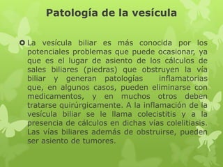 Patología de la vesícula
 La vesícula biliar es más conocida por los
potenciales problemas que puede ocasionar, ya
que es el lugar de asiento de los cálculos de
sales biliares (piedras) que obstruyen la vía
biliar y generan patologías inflamatorias
que, en algunos casos, pueden eliminarse con
medicamentos, y en muchos otros deben
tratarse quirúrgicamente. A la inflamación de la
vesícula biliar se le llama colecistitis y a la
presencia de cálculos en dichas vías colelitiasis.
Las vías biliares además de obstruirse, pueden
ser asiento de tumores.
 