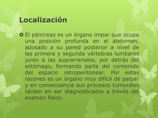 Localización
 El páncreas es un órgano impar que ocupa
una posición profunda en el abdomen,
adosado a su pared posterior a nivel de
las primera y segunda vértebras lumbares
junto a las suprarrenales, por detrás del
estómago, formando parte del contenido
del espacio retroperitoneal. Por estas
razones es un órgano muy difícil de palpar
y en consecuencia sus procesos tumorales
tardan en ser diagnosticados a través del
examen físico.
 