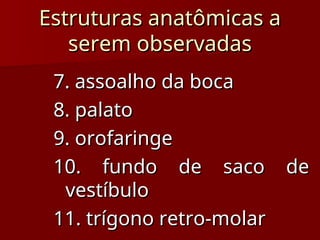7. assoalho da boca
7. assoalho da boca
8. palato
8. palato
9. orofaringe
9. orofaringe
10. fundo de saco de
10. fundo de saco de
vestíbulo
vestíbulo
11. trígono retro-molar
11. trígono retro-molar
Estruturas anatômicas a
Estruturas anatômicas a
serem observadas
serem observadas
 