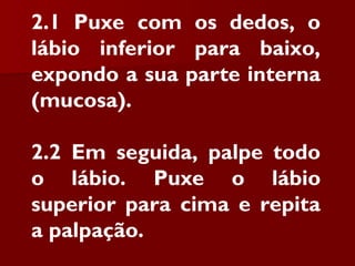 2.1 Puxe com os dedos, o
lábio inferior para baixo,
expondo a sua parte interna
(mucosa).
2.2 Em seguida, palpe todo
o lábio. Puxe o lábio
superior para cima e repita
a palpação.
 