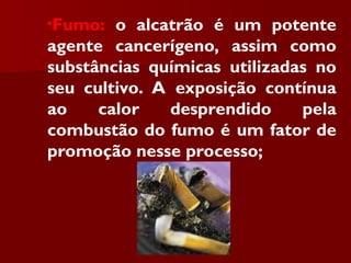 •Fumo: o alcatrão é um potente
agente cancerígeno, assim como
substâncias químicas utilizadas no
seu cultivo. A exposição contínua
ao calor desprendido pela
combustão do fumo é um fator de
promoção nesse processo;
 