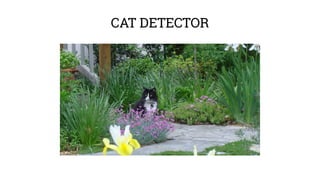 CAT DETECTOR
 