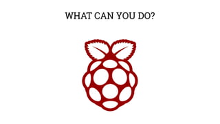 Raspberry Pi - Estonia