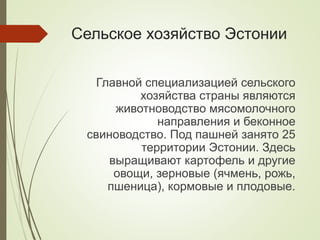 Сельское хозяйство Эстонии
Главной специализацией сельского
хозяйства страны являются
животноводство мясомолочного
направления и беконное
свиноводство. Под пашней занято 25
территории Эстонии. Здесь
выращивают картофель и другие
овощи, зерновые (ячмень, рожь,
пшеница), кормовые и плодовые.
 