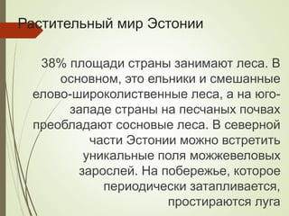 Растительный мир Эстонии
38% площади страны занимают леса. В
основном, это ельники и смешанные
елово-широколиственные леса, а на юго-
западе страны на песчаных почвах
преобладают сосновые леса. В северной
части Эстонии можно встретить
уникальные поля можжевеловых
зарослей. На побережье, которое
периодически затапливается,
простираются луга
 