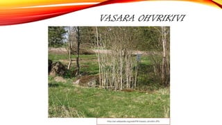 VASARA OHVRIKIVI
http://et.wikipedia.org/wiki/Pilt:Vasara_ohvrikivi.JPG
 