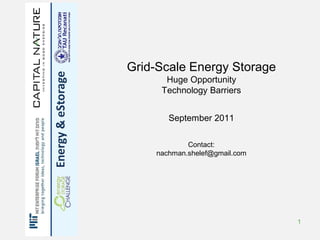 Grid-Scale Energy Storage
      Huge Opportunity
     Technology Barriers


       September 2011

            Contact:
    nachman.shelef@gmail.com




                               1
 