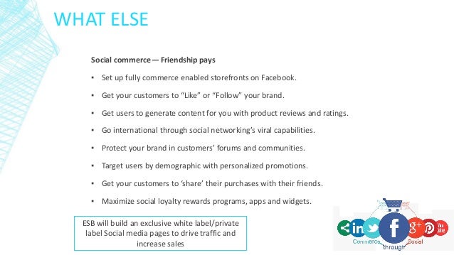 Sample business plan for social network