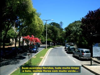 Suas avenidas floridas, tudo muito limpo
e belo, muitas flores com muito verde...
 