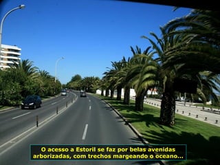 O acesso a Estoril se faz por belas avenidas
arborizadas, com trechos margeando o oceano...
 