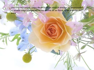 Una sola rosa para ti, como declaración de amor le enviaba un enamorado a su amada como interpretación  del idioma de las flores  al sentimiento del amor