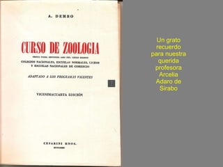 Un grato recuerdo para nuestra querida profesora Arcelia Adaro de Sirabo 