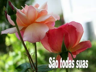 São todas suas 