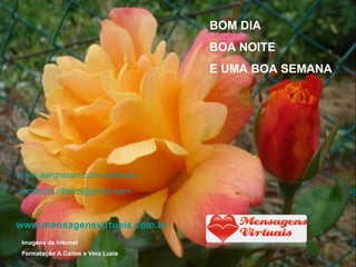 BOM DIA BOA NOITE E UMA BOA SEMANA Imagens da internet Formatação A.Carlos e Vera Luzia www.sergrasan.com/veraluzia [email_address] www.mensagensvirtuais.com.br 