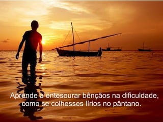     Aprende a entesourar bênçãos na dificuldade, como se colhesses lírios no pântano. 