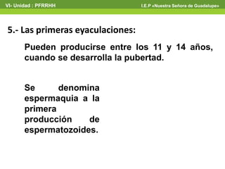 VI- Unidad : PFRRHH I.E.P «Nuestra Señora de Guadalupe» 
5.- Las primeras eyaculaciones: 
Pueden producirse entre los 11 y 14 años, 
cuando se desarrolla la pubertad. 
Se denomina 
espermaquia a la 
primera 
producción de 
espermatozoides. 
