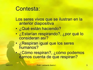 Contesta: Los seres vivos que se ilustran en la anterior diapositiva ¿Qué están haciendo? ¿Estarían respirando?, ¿por qué lo consideran así? ¿Respiran igual que los seres humanos? ¿Cómo respiran?, ¿cómo podemos darnos cuenta de que respiran? 