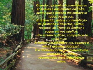 Quando o primeiro homem desceu aos vales e aos montes da Terra,  sentiu que a miséria lhe entravava todos os passos.  Entristecido, ante a contemplação de pântanos e desertos, voltou,  receoso, ao Trono do Senhor e rogou em voz súplice: - Pai misericordioso, compadece-te de mim!  A indigência persegue-me, socorre a minha extrema- pobreza!... E o Todo-Bondoso, prometendo-lhe proteção e carinho,  recomendou-lhe o trabalho das mãos. 