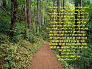 O homem tornou à gleba escura e triste e agiu, corajosamente. Improvisando utensílios rústicos, distribuiu as águas, drenou  os charcos, selecionou as plantas frutíferas e conseguiu edificar  o primeiro ninho doméstico. Instalado, porém, na casa simples, reconheceu que a ignorância  lhe ensombrava a Imaginação.  Amedrontado com as inibições espirituais que o sufocavam,  regressou ao Céu, Implorando: - Senhor, Senhor, minha cabeça jaz em trevas...  Auxilia-me!  Dá-me claridade ao entendimento!... 
