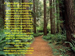 E o Todo-Sábio, reafirmando-lhe o seu amor infinito, aconselhou-lhe  o trabalho do pensamento. Atendendo a indicação, o homem passou a observar com   redobrada paciência os fenômenos que o cercavam, adquirindo   preciosas lições da Natureza e criando, com o esforço próprio, os   primeiros livros de pedra. Ilhado, todavia, em tarefas e estudos, experimentou o anseio de   exteriorizar-se e voar...  A solidão amargava-lhe o espírito.  Aspirava à comunhão com os outros seres, anelava penetrar os segredos do firmamento. 