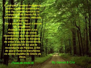 E, porque o homem indagasse sobre a ocasião sublime em que lhe caberia repousar na companhia do Eterno Pai, o emissário respondeu, delicado e solícito: - Vai e constrói. Segue e atende ao progresso.  Avança, marcando a tua romagem com os sinais  imperecíveis das boas obras!...  O trabalho, entre as margens do amor e da reta consciência, é a estrada de luz que te reconduzirá ao Paraíso, a fim de que a Terra se transforme no divino espelho da Glória de Deus. (Texto do Irmão X) By Gerrad & Cris 