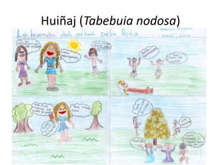 Huiñaj (Tabebuia nodosa)
 