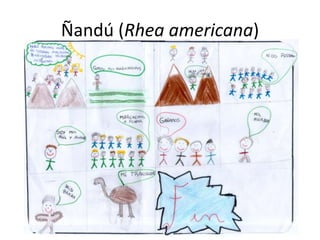 Ñandú (Rhea americana)
 