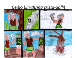 Ceibo (Erythrina crista-galli)
 