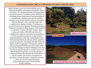 ITAPANHOACANGA (MG) A CONCEIÇÃO DO MATO DENTRO (MG).
Após Córregos, passei por vários búfalos que se
refrescavam dentro de pequenos banhados. Minas
Gerais tem o 9º rebanho nacional, com pouco mais
que 70 mil cabeças. A bubalinocultura difundiu-se
em Minas Gerais, destacando-se pela produção de
reprodutores e matrizes para outros estados.
Durante muito tempo, búfalos estavam associados
à Ilha de Marajó. E veio a primeira baixa da
viagem: pneu dianteiro furado. Providenciei a
troca e fui em frente. Faltando 10 quilômetros para
chegar a Conceição do Mato Dentro, a Estrada Real
se sobrepõe à rodovia MG-010. A partir desse
ponto, prevalece a MG-010, em obras de
asfaltamento e intenso movimento de caminhões.
Foi brutal a diferença quanto ao movimento.
Enquanto pedalava pela ER, tranquilidade total e
diminuto movimento de veículos. Ouvia somente
os sons da natureza. Pedalando pela MG-01,0 com
asfalto recém inaugurado, o trânsito era intenso e
muitas máquinas trabalhavam nos trechos ainda
por asfaltar. Cheguei ao Hotel Cuiabá por volta das
16h 30, a tempo de assistir ao seriado Chaves, no
SBT. Naquele dia percorri, na minha opinião, a
etapa mais bonita do Caminho dos Diamantes. O
céu de outono, sem nuvens, a temperatura
agradável, o canto dos galos, o mugir dos bovinos,
o cheiro de mato, o tempo que passa
preguiçosamente. Isso é a Estrada Real.
Paraty a 818 km.
Trecho da Estrada Real entre Córregos e Conceição
Búfalos em Córregos
Fotos: F. Mendes
 