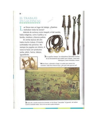 Estrada vivir en sociedad