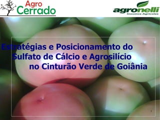 Estratégias e Posicionamento do  Sulfato de Cálcio e Agrosilício  no Cinturão Verde de Goiânia 